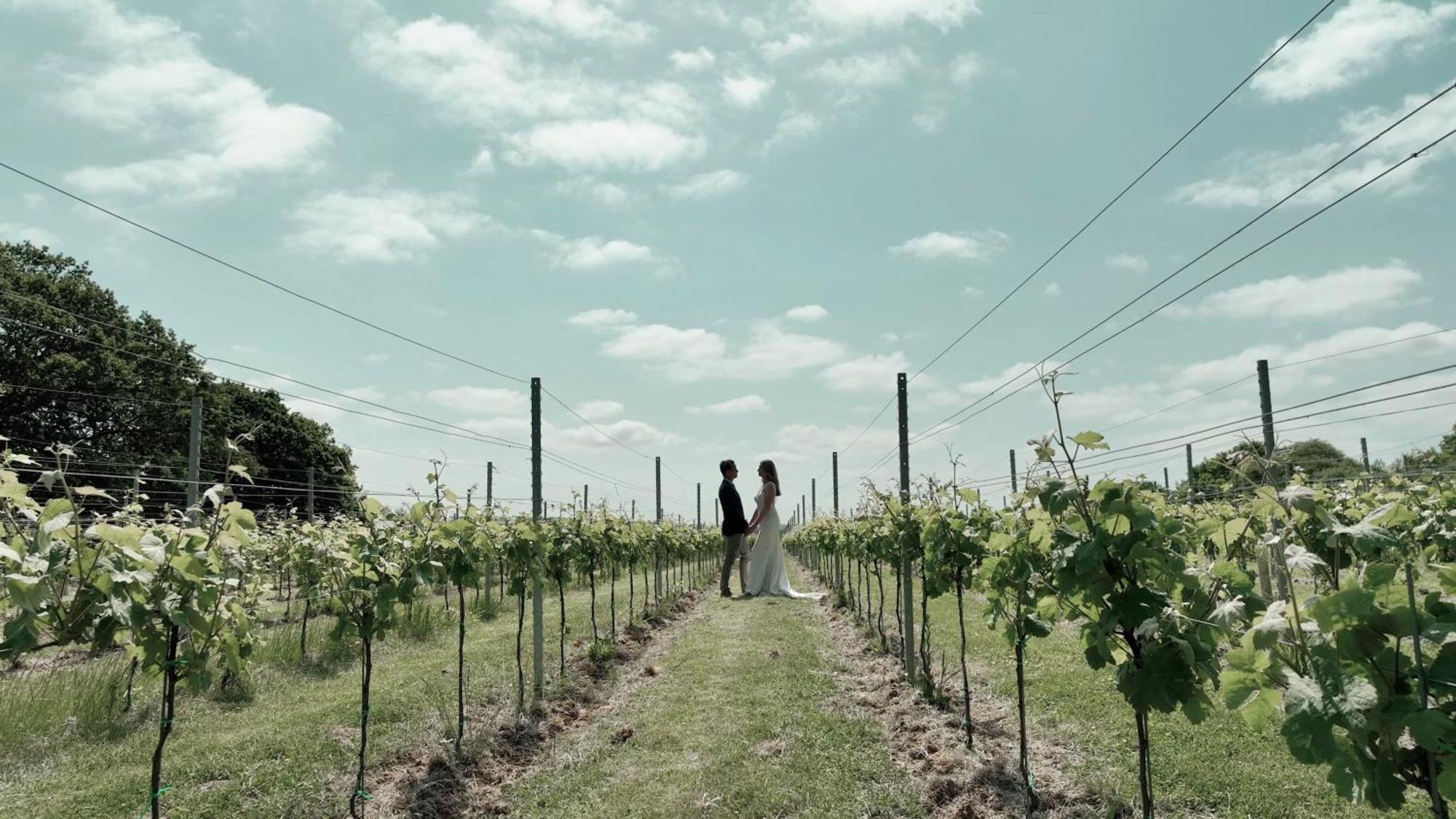 Pinkmead Estate And Vineyard Villa Osborne  Екстериор снимка
